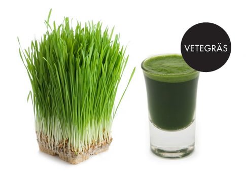 vetegräs