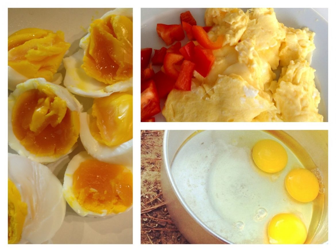 ägg paleo