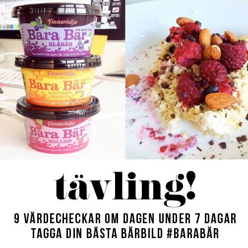 bara bär sockerfri sylt