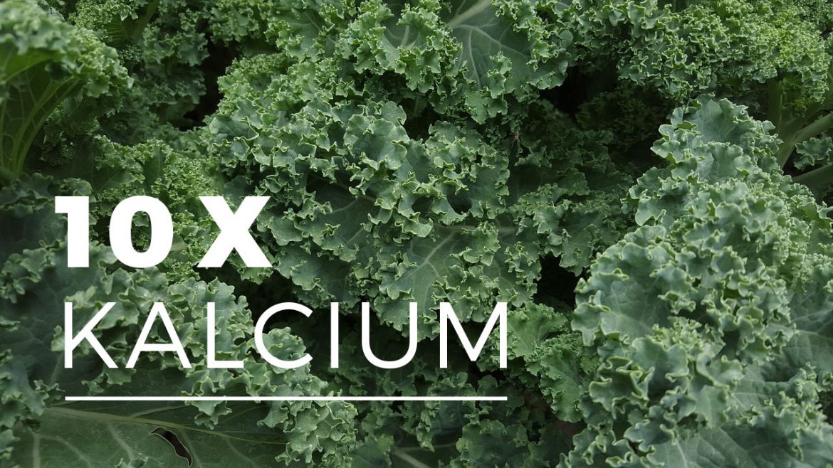 kalcium mejerifritt paleo