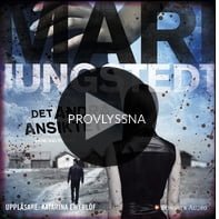 det andra ansiktet storytel