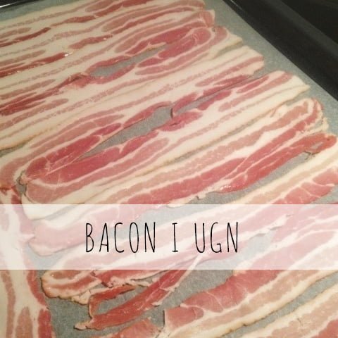 bacon-i-ugn