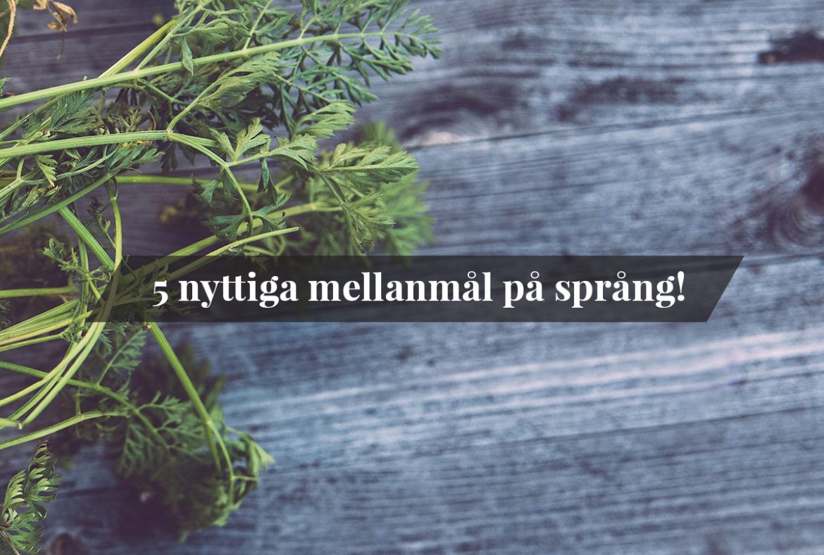 5 nyttiga mellanmål 5 nyttiga mellanmål