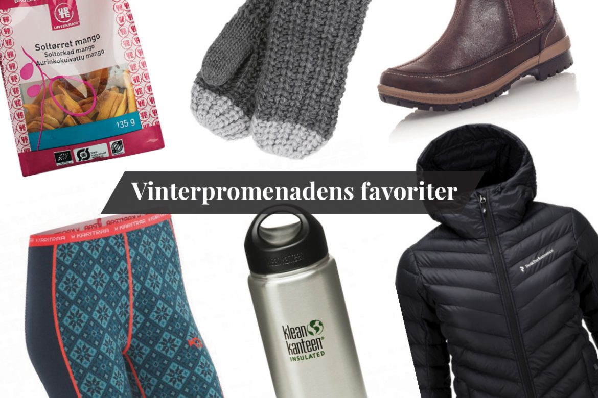 vinterpromenader inspiration