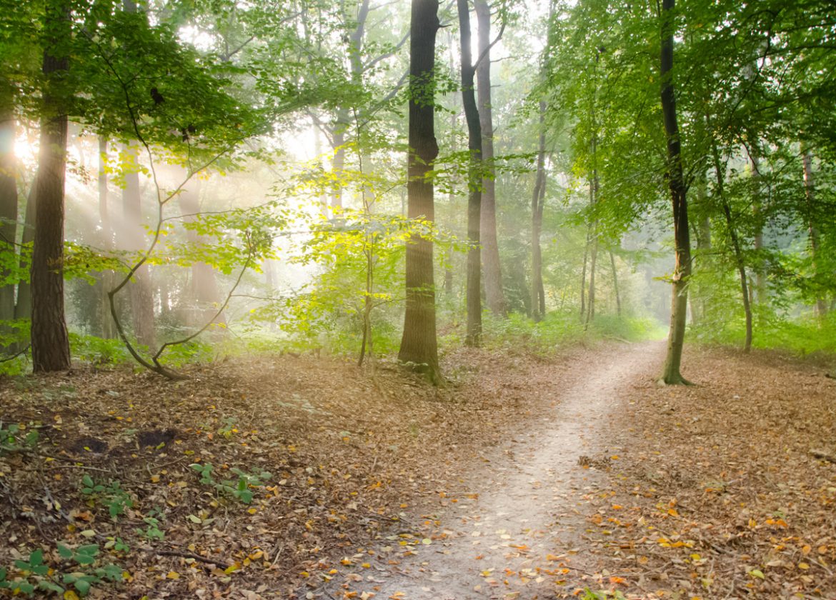 kom igång med träning