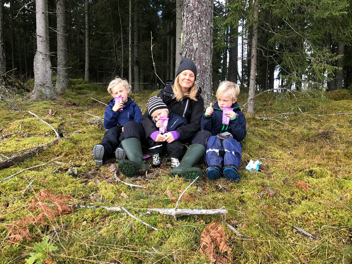 hofsnäs skogen med barnen