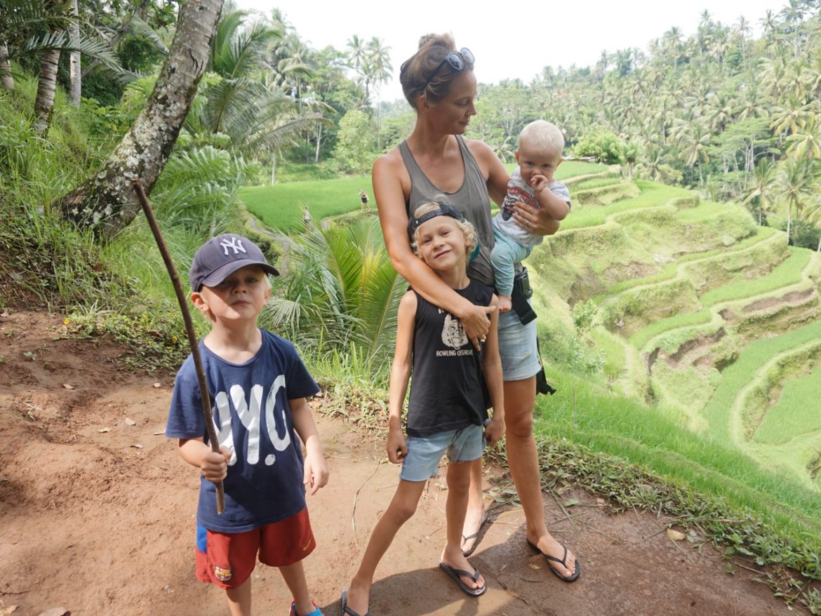 10 saker cecilia folkesson