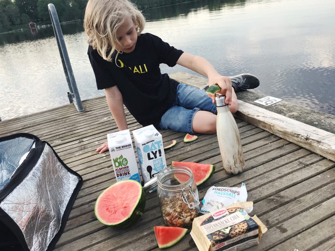 picknick hofsnäs picknick hofsnäs