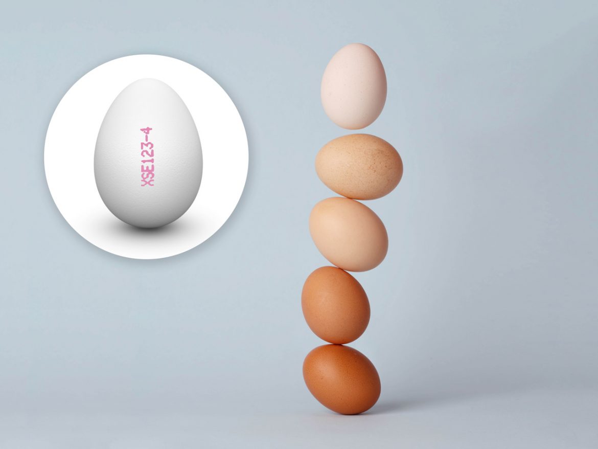 märkning ägg märkning ägg