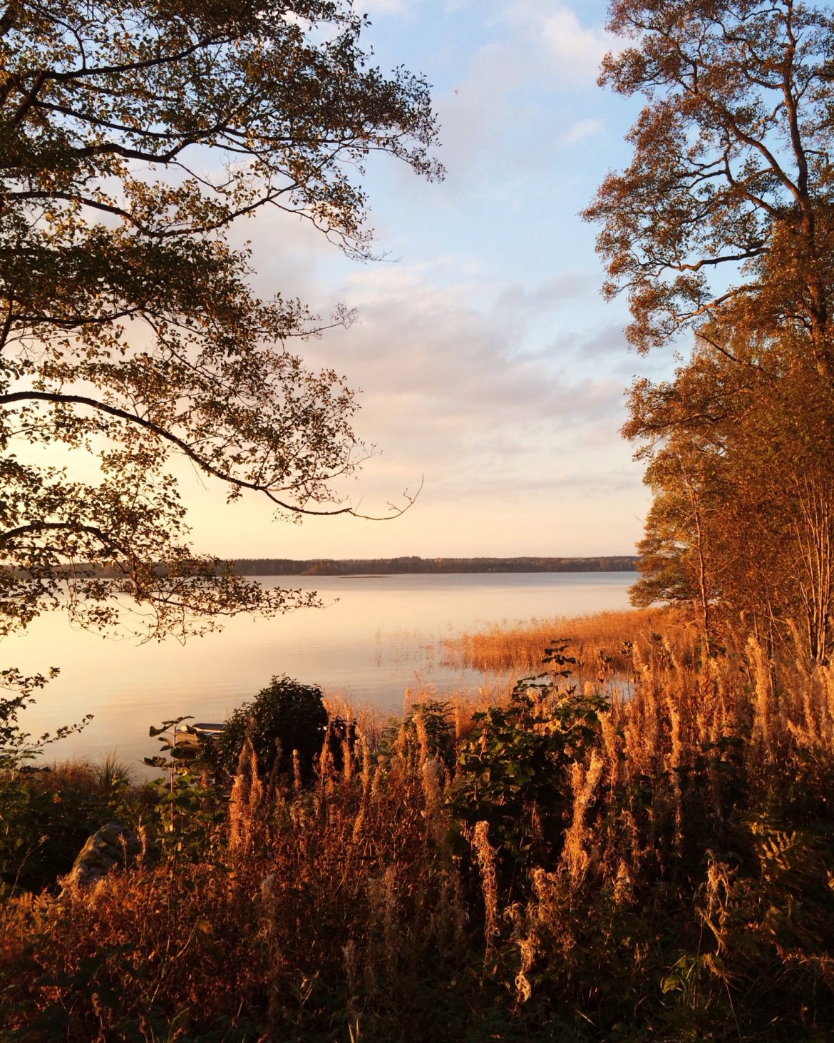 hofsnäs