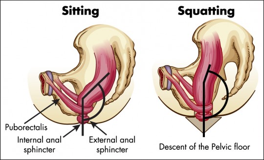 Sittande_squatting